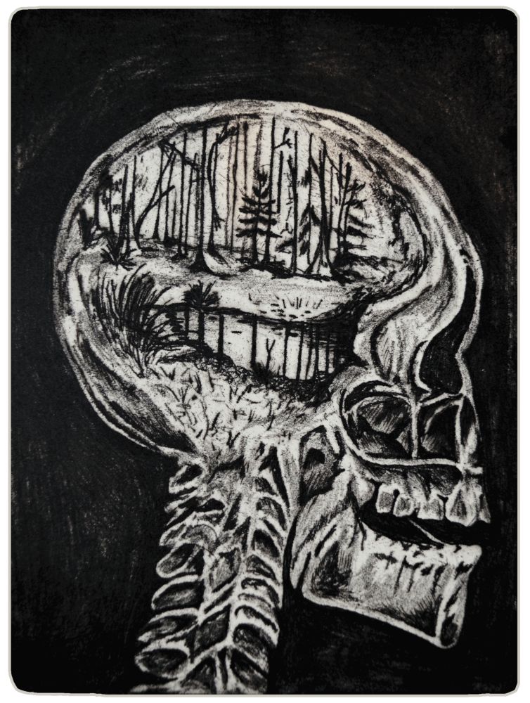 Forest Inside the Mind